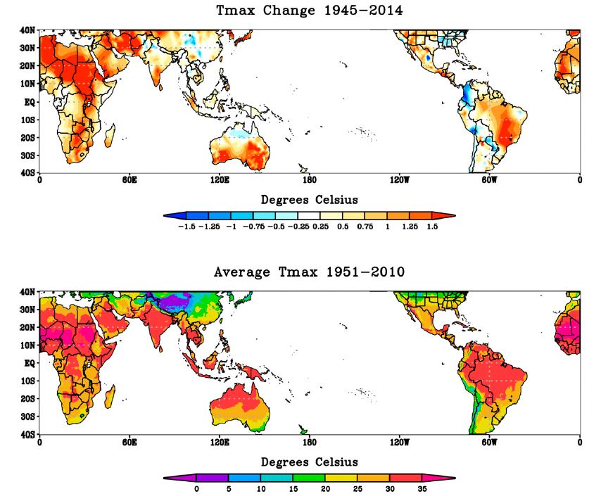 CKD of Unkown Cause – researchers look to climate change as the epidemic grows